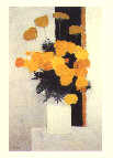 Roses D