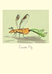 Julian Williams: Carrot Fly