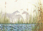 Fran Evans: Horses by the Pond
