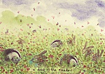 Fran Evans: A Day In The Meadow
