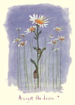 Fran Evans: Amongst the Daisies