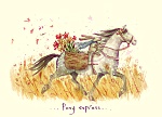 Fran Evans: Pony Express