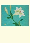 Yuko Hirose: White Lily