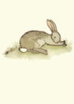 Anita Jeram: Contented Bunny