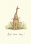 Anita Jeram: Bad Hare Day