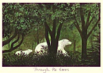 Anita Jeram: Through The Trees