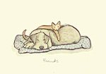 Anita Jeram: Friends Cat and Dog