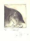 Julian Williams: Dreaming