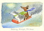 Dashing through the snow