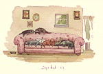 Fran Evans: Sofa Bed