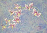 Yuko Hirose: Orchids