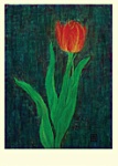 Yuko Hirose: Red Tulip