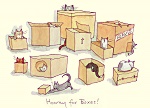 Anita Jeram: Hooray for Boxes