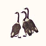Julian Williams: Three Geese